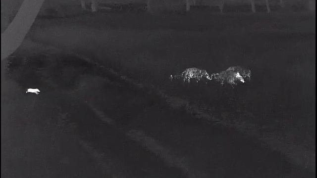 Pulsar Helion 2 XP50 05/2020 (1) смотреть онлайн