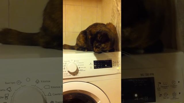 Утряска смотреть онлайн