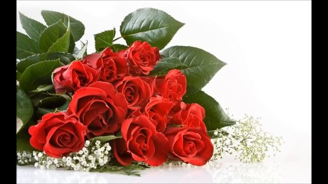 PORFIROV VLADIK смотреть онлайн