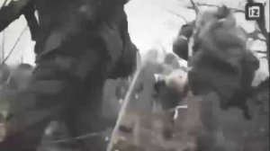 На легендарную песню благовещенской группы «Блокада сердца» создали клип с кадрами из Донбасса