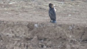 РЫБАЛКА НА САМОЙ ДЛИННОЙ РЕКЕ КАЗАХСТАНА.