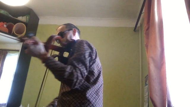 The Animals,Don't Let Me Be Misunderstood,Oleg Bote,Violin,cover смотреть онлайн