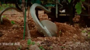 Официальный дилер Antonio Carraro, Agrofer, TMC Cancela - демо-показ.