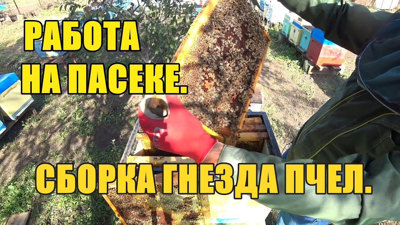 РАБОТА НА ПАСЕКЕ, СБОРКА ГНЕЗДА ПЧЕЛ.