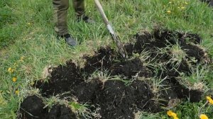 Как правильно копать огород лопатой. Получаем высокий УРОЖАЙ Урожайный огород, урожайная ДАЧА