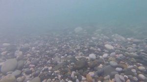 GoPro Hero Session съемка под водой