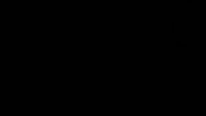 Экспедиция в Южский район Китайново