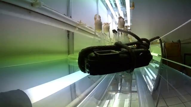 Nikon AW120 Prueba en agua Waterproof test смотреть онлайн