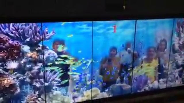 Interactive at Bangkok Suvarnabhumi Airport смотреть онлайн