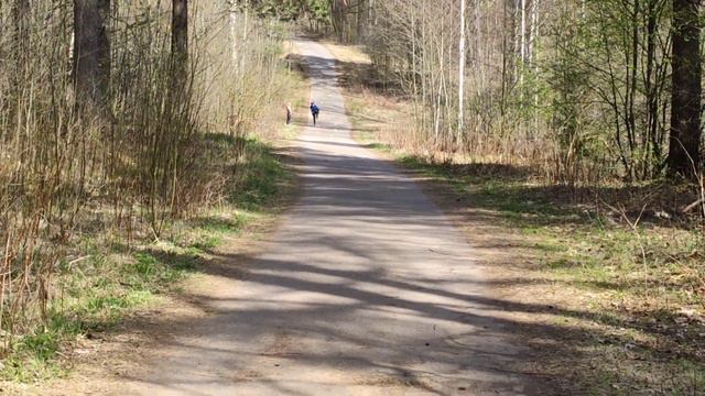 Обработка раны .день за два дня до выхода на работу ... смотреть онлайн