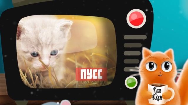 20 интересных фактов о кошках. С веселым котом #Джемом смотреть онлайн