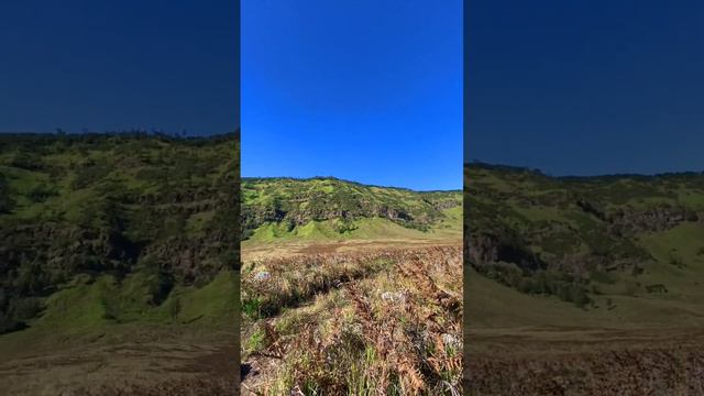 Savana Bromo