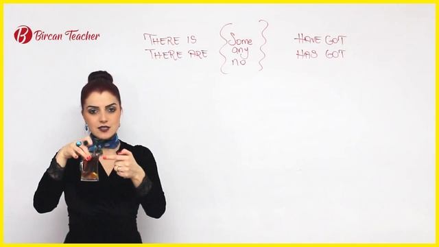(BAŞLANGIÇ DÜZEY) DERS 3 - There is - There are and Have Got - Has Got