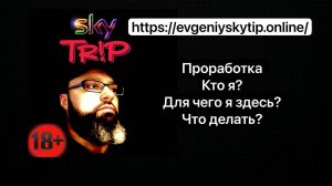 Отзыв Константина Ю. I SkyTrip