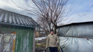 Обрезка абрикоса весной ! Как обрезать абрикосу весной ? Дача своими руками !Укоротил абрикосу!