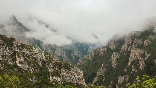 Далай Лама нарушает личные границы? Часть 2 /Наталия Вайксельбаумер