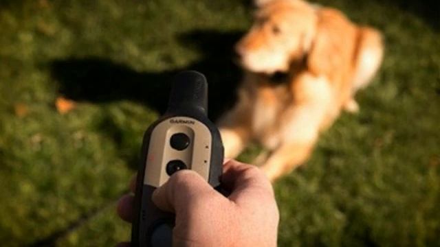 gps ошейник для собак купить смотреть онлайн