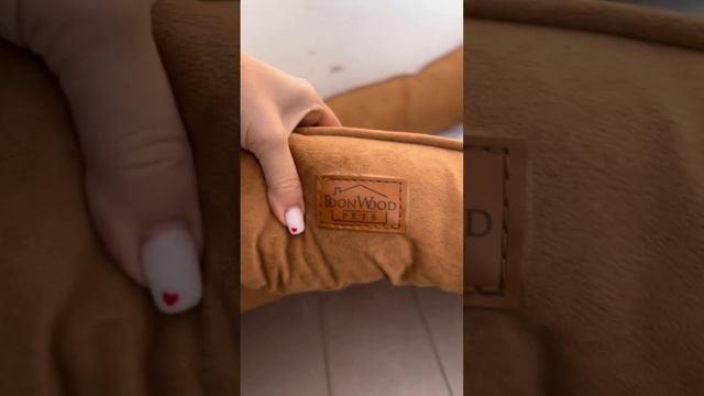 первую они съели #животные #лабрадор #собака #лежанка