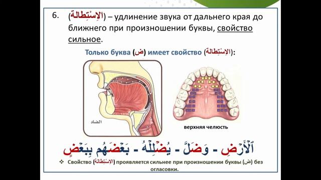 Урок 54. Свойства букв(لا ضد له): الاِنْحِراف - التَّفَشِّي - الاِسْتِطالة - التَّكْرِير смотреть онлайн