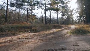 Обзор ЛАДА Иксрей Кросс в Липецке от автосалона ПРАЙМ.