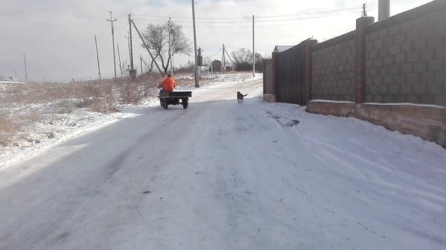 Альберт Винярский и мир электро транспорта - электро трицикл муравей Валли смотреть онлайн