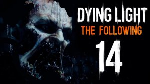 Dying Light: The Following Hard [FREEKILL; Butcher] #14