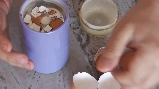 Как избавить рассаду от " черной ножки ". Яичная скорлупа.