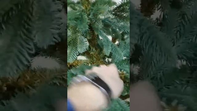 Датская