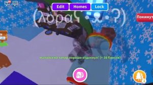 адопт ми?малайский тапир? ?мое первое видео?❤??