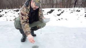 пруд своими силами часть 20 Раки: подкормка в зимне-весенний период