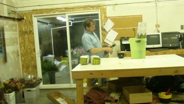 How To Prepare Rose Green Tea 50cm from Ecuador - lwflowers.com смотреть онлайн