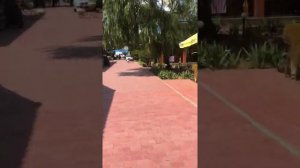 Кириловка отдых Диана ;) база территория ;) 2019