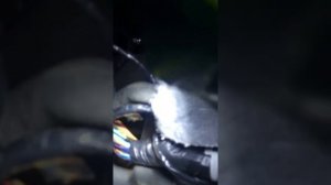 Подключение усилителя Daewoo Gentra