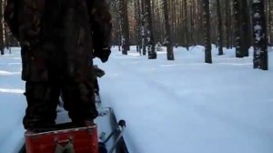 поездка на мотособаке