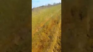 вологодский вездеход вепрь.болото