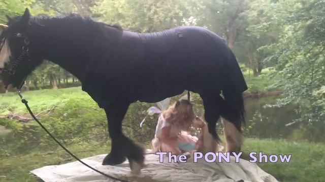 Unicorn steps on Fairy! Wear a Helmet! theponyshow horse helmet horses horsegirl