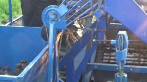 Самодельный картофелеуборочный комбайн  мои самоделки к самодельному трактору  навесное оборудовани