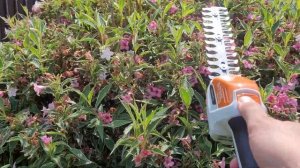 САДОВЫЕ АККУМУЛЯТОРНЫЕ НОЖНИЦЫ STIHL HSA 26