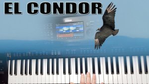 EL CONDOR PASA / ПОЛЁТ КОНДОРА на синтезаторе Yamaha Psr sx900