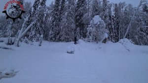 В ОЧЕНЬ глубокий снег на мотобуксировщика MotoDog / Зима 2022
