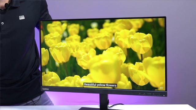 Cặp đôi Lenovo Thinkvision phá đảo tầm giá màn hình văn phòng смотреть онлайн