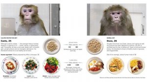 Старение как болезнь.  Можно ли вылечить старость?