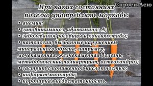 Морковь – кладезь витамина А | Как правильно есть морковь | При каких заболеваниях полезна морковь