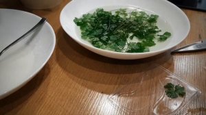 Патчи из желатина и петрушки в домашних условиях. #патчи #вдомашнихусловиях #рецептыкрасоты #желати