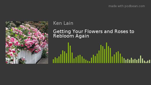 Getting Your Flowers and Roses to Rebloom Again смотреть онлайн