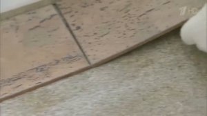 Выравнивание пола, стен и потолка плитами Quick Deck Professional в проекте программы "Фазенда"