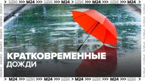 Кратковременные дожди и грозы обещают в Москве до вечера 30 мая