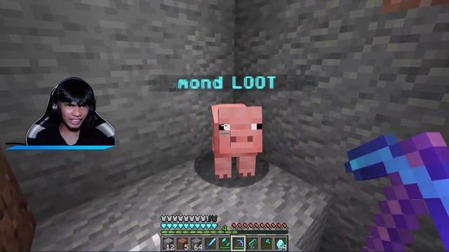 ខ្ញុំមានបេះដូង Diamond ក្នុងMinecraft смотреть онлайн