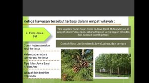Geografi XI KD 3.2 Flora & Fauna di Indonesia