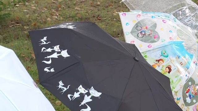 Как выбрать зонт: практические рекомендации и советы смотреть онлайн